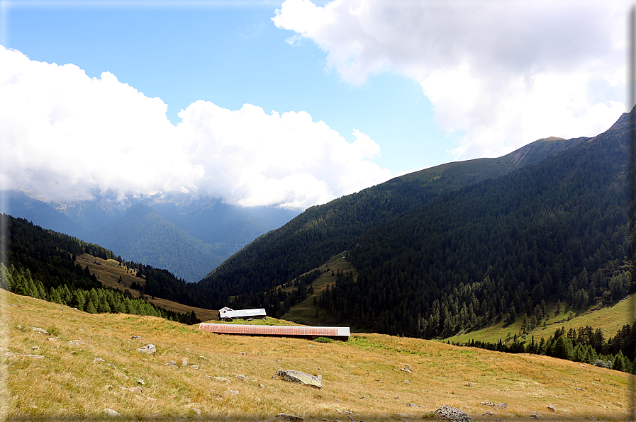 foto Da Forcella Montalon a Val Campelle